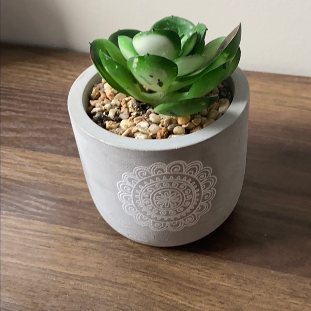 Cute plant fake